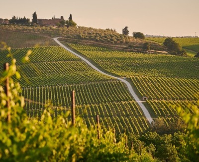 walks Navarra, Navvara landscape