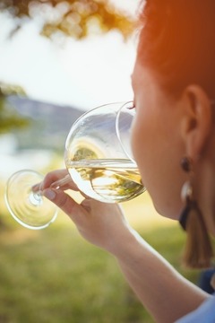 Cellar Visits in Spain, Experiencias de Cata de Vinos