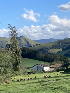 Cellar Visits in Spain, Experiencias de Cata de Vinos