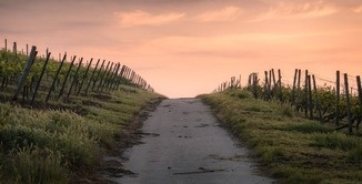 SoulWandering, intensive walks on the Camino de Santiago