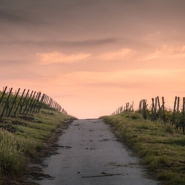 Meditative walks, spanish pilgrimage