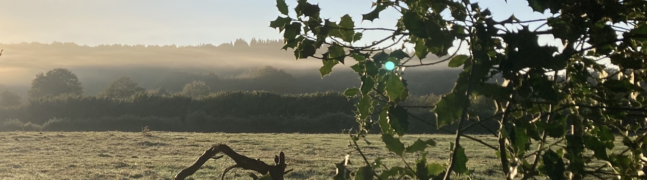 SoulWandering, meditative walks on the Camino de Santiago